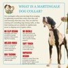 Country Brook Petz HossFit Jr Wide Martingale Dog Collar - Country and Western Collection - 4 of 4