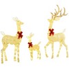 Whisen Outdoor Christmas Deer Family Set & 3-Piece Lighted Reindeer Yard Decoration with Warm White LED Lights - 3 of 4