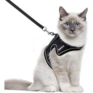 rabbitgoo Cat Harness and  for Small Cats, Kitten Harness with Magic Tapes and Double Clips for Safety Outdoor Activity, M - 1 of 1