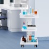VEVOR Lab Trolley, Rolling Lab Cart with Built-in Socket, 3-Layer Metal Mobile Trolley, Tray Rolling Clinic Cart , 220 lbs Weight Capacit - 2 of 4