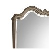 Chelmsford Antique Taupe Finish Mirror - 3 of 4