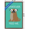 Trends International David Olenick - Feed Me Framed Wall Poster Prints - 3 of 4