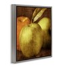 Stupell Industries Vintage Apples Close Up Floating Frame Canvas Art - 2 of 4