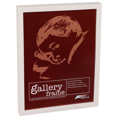 Ambiance Framing Gallery Wood Frames Single - Assorted Sizes & Colors