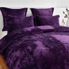BAGOKIE 5 Pieces Bed in a Bag Comforter Set for All Season - 2 of 4