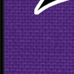 minnesota vikings