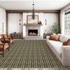 Washable Rug Non Slip Modern Braided Printed Rug Foldable Indoor Carpet Ultra-Soft Contemporary Floor Cover for Living Room Bedroom Playroom Dorm - 2 of 4