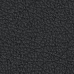 louisiana state university tigers