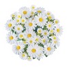 Collections Etc Artificial Chamomile Daisy Bushes - Set of 3 - 3 of 4