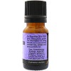 Plantlife Lavandin Essential Oil – 100% Pure & Therapeutic Grade – Natural, Undiluted & Steam-Distilled – No Additives or Fillers – 10ml Aromatherapy - 2 of 2