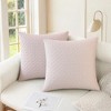 REGALWOVEN Geometric Pattern Soft Cozy Throw Pillow Covers for Living Room Sofa Home Decor 2 Pcs - 2 of 4