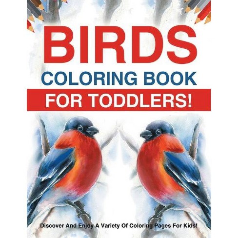 Download Birds Coloring Book For Toddlers Discover And Enjoy A Variety Of Coloring Pages For Kids By Bold Illustrations Paperback Target