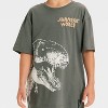 Boys' Jurassic Park T-Shirt - Gray - 2 of 4