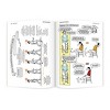 Ephiphaknee: A Modern Approach to Knee Osteoarthritis | An Explain Pain Handbook - 4 of 4