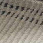 light silver