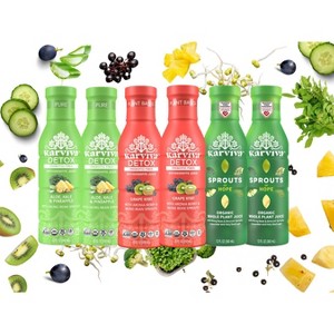 Karviva Organic Detox Juice Cleanse Variety Pack – Ancient Remedies for Gentle Detox & Digestion, Low-Sugar with Sprouts, Prebiotics, Antioxidants - 1 of 1