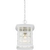 Stonington 1-Light Outdoor Hanging Lantern - 4 of 4