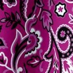 raspberry pretty paisley