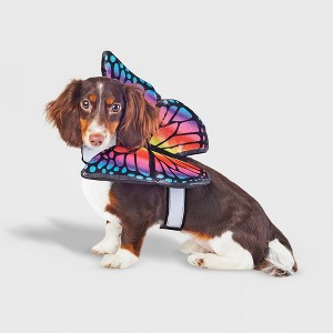 Halloween Butterfly Wings Dog and Cat Costume - Hyde and EEK! Boutique™ - 1 of 4