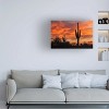 Trademark Fine Art -Mike Jones Photo 'Saguaros Amazing Sunset 5' Canvas Art - 2 of 4