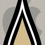 new orleans saints