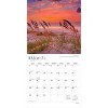 BrownTrout America 2026 12"x24" Hanging Square Wall Calendar Plastic-Free - 3 of 4