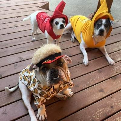 Mustard dog outlet costume