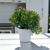 Unique Bargains Artificial Plants Mini Gypsophila Plastic 2.36"x2.36"x5.12" 1 Pc - 2 of 4