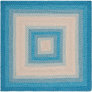 Braided BRD311 Machine Washable UV & Stain Resistant Non-Shedding Hand Woven Indoor/Outdoor Rugs - Safavieh - 1 of 4