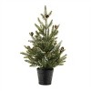 Potted Mini Pine Tree (Set of 2) - 2 of 3