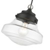 Livex Lighting Avondale 1 - Light Pendant in  Black/Brushed Nickel - 4 of 4