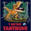 Boy's Jurassic World T. Rex Size Tantrum T-Shirt - 2 of 4