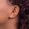 Black Bow Jewelry 2.5mm Round Cubic Zirconia Stud Earrings in 14k Yellow Gold - 3 of 4