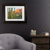Trademark Fine Art - Alan Majchrowicz Organ Pipe Cactus National Monument Arizona Matted Framed Art - 2 of 4