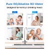 Waterdrop WD-T4-A Alkaline pH + Undersink RO Filtration System, 10-Stage 450GPD,Extra 1-Year Combo Filter (𝟐 𝐂𝐅 + 𝟏 𝐂𝐁 + 𝟏 𝐀𝐋𝐊) - 4 of 4