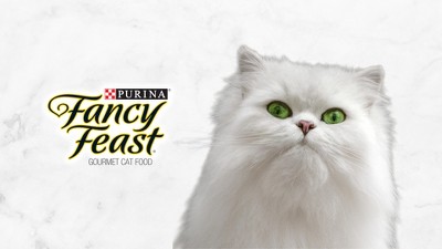 24 Pack) Fancy Feast Grilled Salmon & Shrimp Feast in Gravy Cat Food 3 oz. Can