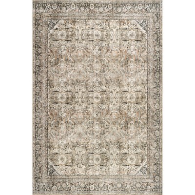Nuloom Hillstone Collection Deka Traditional Vintage Medallion Area Rug