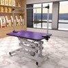 VisioGear 42.5" Dog Pet Grooming Table with Adjustable Height and Arm, Pet Dog Cat Grooming Table, Purple, 42.5"*23.5"*67" - 2 of 4