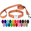 Country Brook Petz Premium Nylon Dog Collar and Leash Set for Small Medium Large Dogs - Vibrant 30+ Color Selection - 2 of 4