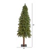 5ft Nearly Natural Pre-Lit Grand Alpine Artificial Christmas Tree Clear Lights - 2 of 4
