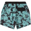 Men's NEFF La Bodega Hot Lap Green Hot Tub Swim Trunks - 4 of 4