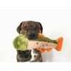 Fluff and Tuff Ruby the Rainbow Trout Dog Toy - 14" - 3 of 4