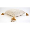 20"x20" Oversize Bradford Two-Tone Tassel Square Throw Pillow - Decor Therapy - image 3 of 4