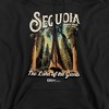 Men's Sequoia National Park The Land of Giants Pull-Over Hoodie - 2 of 4