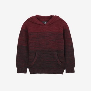 X RAY Boy's Colorblock Pullover Hood Sweater - 1 of 4