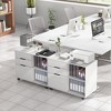 JIONJOY 31.3  Wide 3 -Drawer Mobile File Cabinet - 2 of 4
