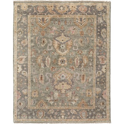 Carrington Traditional Oriental Gray/Gold/Pink Area Rug
