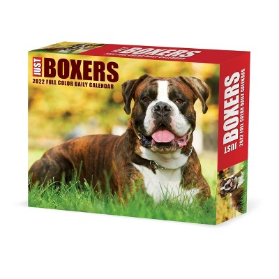 2022 Box Calendar Just Boxers - Willow Creek Press