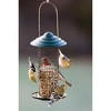 Metal Mini Magnum Black Oil Sunflower Screen Feeder - 2 of 2
