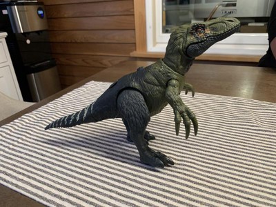 Jurassic World Dino Trackers Wild Roar Orkoraptor Action Figure : Target